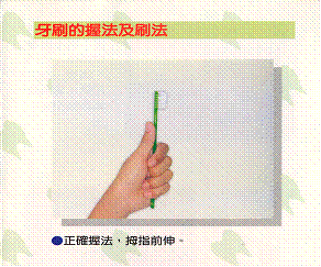 貝氏刷牙法2