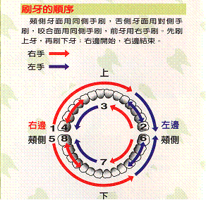 貝氏刷牙法3
